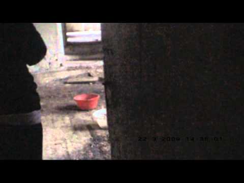 TPP 2009 - Mrowiny - Stoszów -