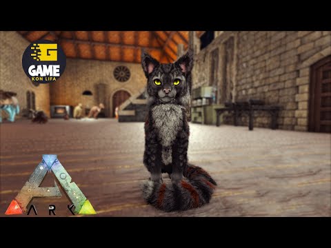 I Tamed The Cutest Cat Ever |Ark Caballus| Ep12
