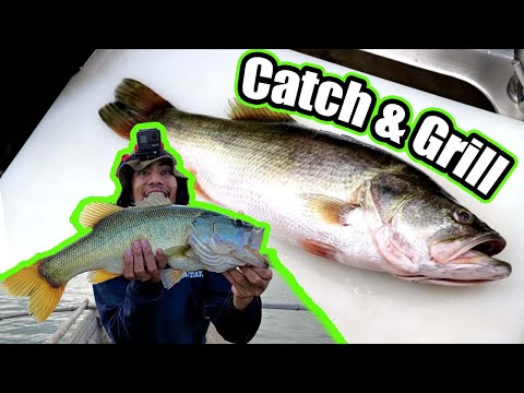 Mas Masarap Sa Tilapia? - Catch & Cook Large Mouth Bass | Philippines Bass Fishing