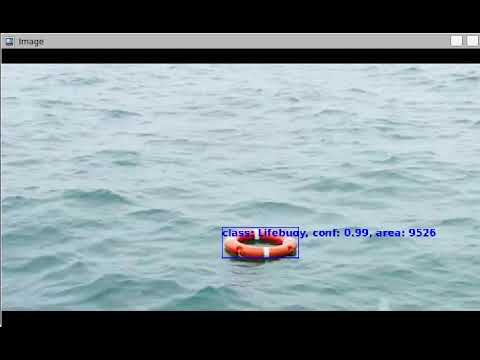 Lifebuoy Detection Video