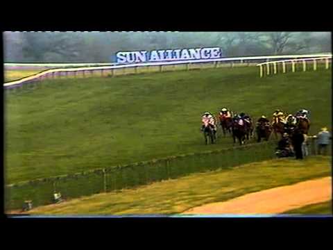 1984 Champion Chase Cheltenham Badsworth Boy