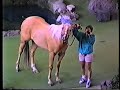 1992 Universal Studios Animal Actors Stage Show With Mr Ed Lassie