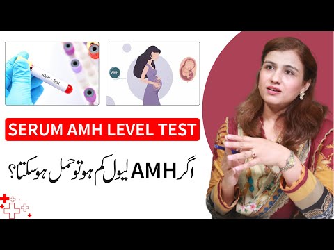 What is Serum AMH Level Test & What it indicates - Dr Maryam Raana Gynaecologist