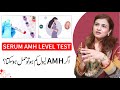 What Is Serum AMH Level Test What It Indicates Dr Maryam Raana Gynaecologist