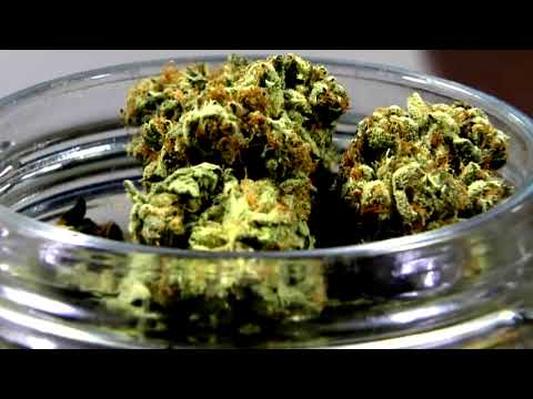 Bloomfield Cannabis Ordinance