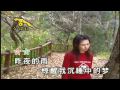 卓依婷 (Timi Zhuo) - 风 中 的 承 诺 (The Promise In The Wind)