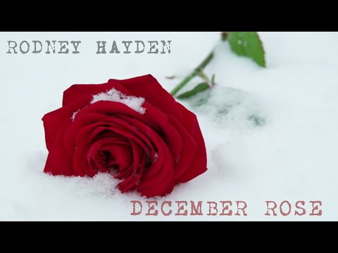 December Rose - Rodney Hayden
