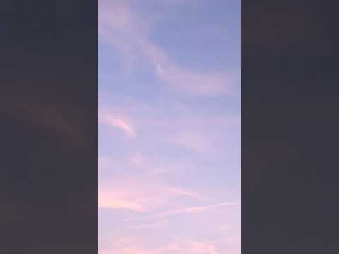 McDonald's ice cream calories