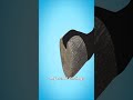 Why Horseshoes Don T Hurt Horses