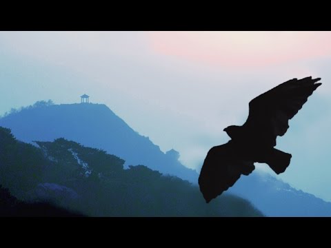 Panflöte - Welthits Instrumental Vol. 1 / mehr als eine Stunde Pan Flöte Instrumental Musik