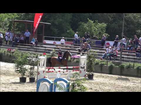 Malu (9) und Monte - Stil-A* mit Zeitpunkten in Oberbachem am 20.05.2018