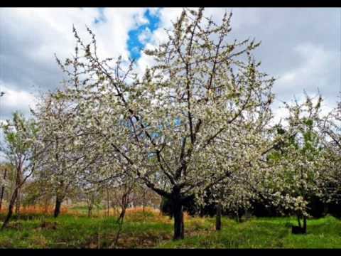 Bahramji & Mashti - Awareness