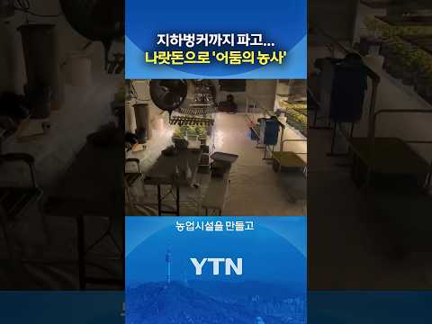 수상한 '농부' 알고 보니 #shorts / YTN