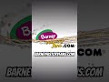 Barney History Fans Is Launching A Website Coming This August