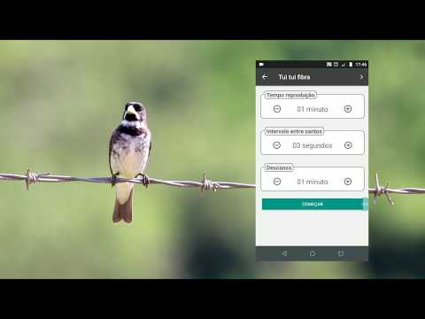Coleiros: Cantos Para Encarte Video
