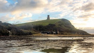 The Woodland Chronicles – Week 7 – No Distractions!