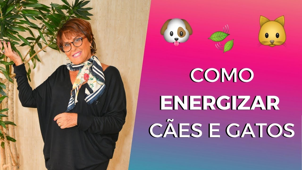Como Energizar CÃES e GATOS por Márcia Fernandes