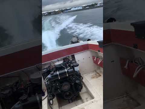 Replaced the old merc165 with a 350 #mercruiser #chevy350 #boat #yacht #mechanic #speedboat