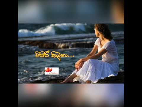 Wisiri thibuna /විසිරී තිබුනා