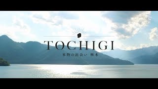 動画2
