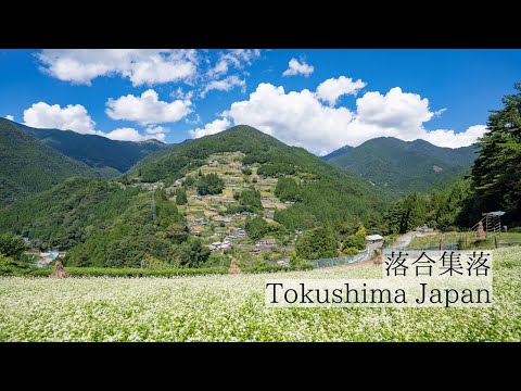急傾斜に広がる天空の集落/落合集落　Ochiai Village: A sky-high settlement spreading on a steep slope