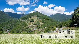 急傾斜に広がる天空の集落/落合集落　Ochiai Village: A sky-high settlement spreading on a steep slope