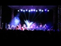 Puya   No Interference 02082014