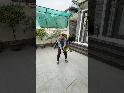 Con Mèo Kêu Sao | Đức Không Điêu #shorts