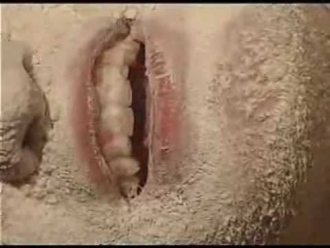 DJ Boyko & Sound Shocking