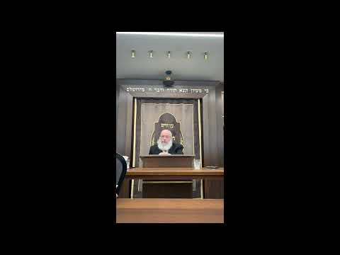 Fixing Psulim on Arba Minim | Shiur By Rav Asher Weiss Shlit"a @ His Kollel for Americans | 2024