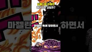 임펠다운 마젤란 해군대장급일까?