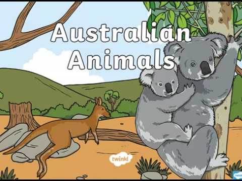 Australian animals