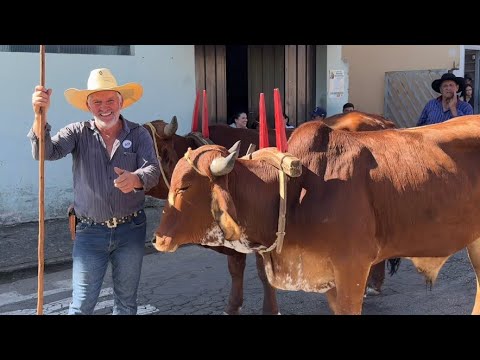 Encontro De Carro De Boi Borda da mata Minas Gerais 