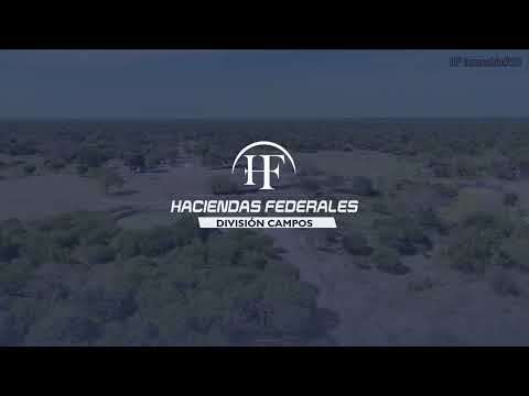 Estancia ganadera de 1.250 hectáreas en Juan José Castelli, Chaco