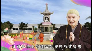 華藏衛視陳總裁：為什麼要啟建淨空老和尚紀念寶塔