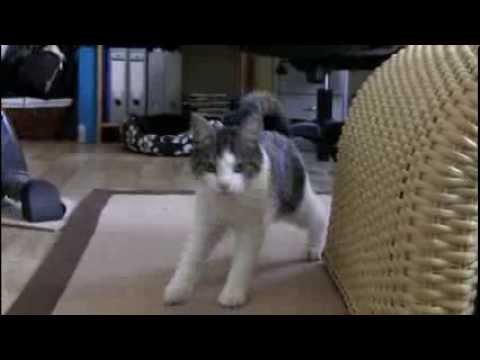 Sari - zest for life