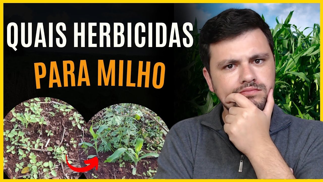 Quais os PRINCIPAIS HERBICIDAS para milho
