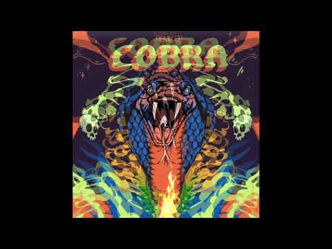 Dutty Deedz & Su Real - "COBRA" ft. General Zooz, Shah Rule & Kavin (Zenith Remix)