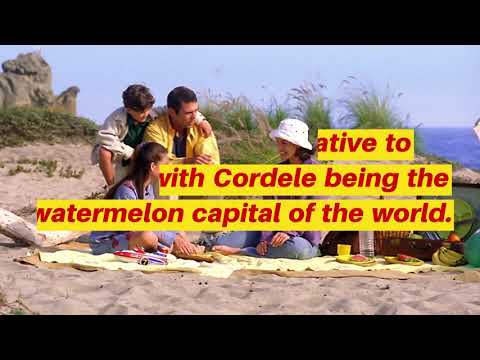 Super 8 by Wyndham Austell/Six Flags: Georgia Fun Facts