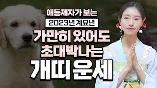 ✨애동제자가 보는 2023년 개띠운세✨ 갓신받은 애동제자의 맑은 영으로 계묘년 하반기 대박나는 개띠 나이 호명합니다 [지화애기대신]