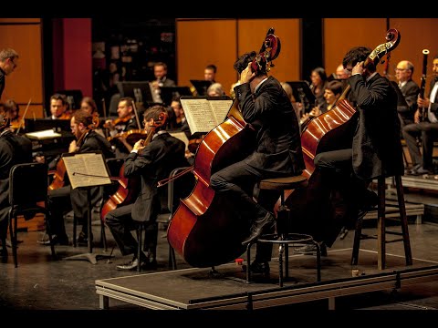 Orquestra Filarmônica Adnipo Gratidão-05 Um Meigo Salvador