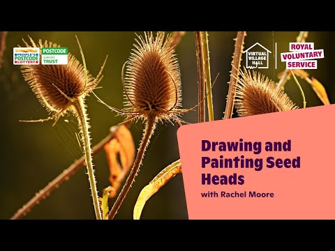 Drawing and Painting Seed Heads | Mixed Media Art Tutorial with Rachel Moore