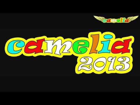 camelia ; pakailah helmet untuk keselamatan