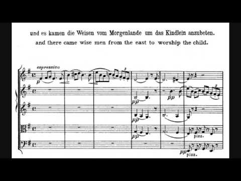 Jan Brandts Buys - Flute Quintet in D major, Op. 21