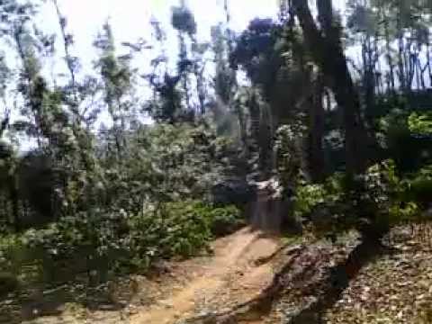 tangaliyalli nanu teli bande