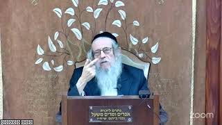 הרה"ג הרב וועכטר שליט"א ט' כסלו תשפ"ה - ליקוטי שיחות חלק כ י"ט כסבלו ג חלק (הרב אברהם מנחם מענדל וכטר) - התמונה מוצגת ישירות מתוך אתר האינטרנט יוטיוב. זכויות היוצרים בתמונה שייכות ליוצרה. קישור קרדיט למקור התוכן נמצא בתוך דף הסרטון