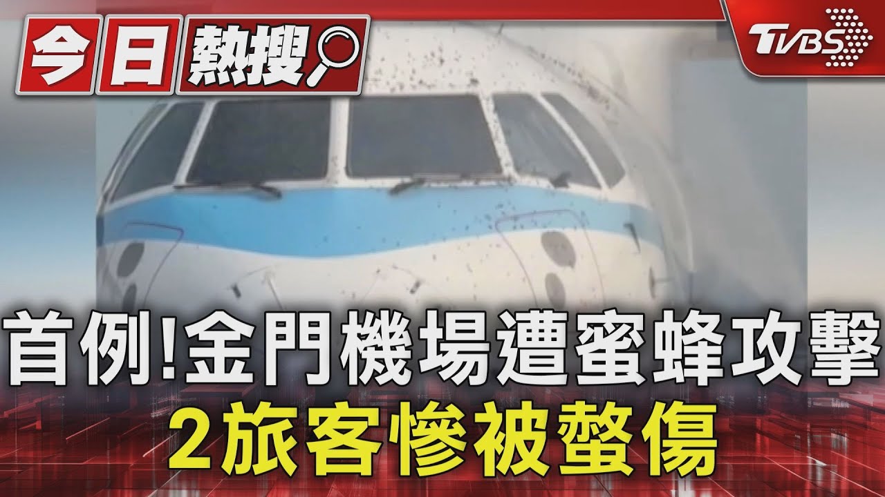 首例!金門機場遭蜜蜂攻擊 2旅客慘被螫傷