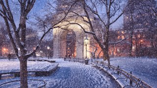 Happy Holidays from NYU Meyers