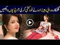 Pakistani Singer Rabi Peerzada Death Video