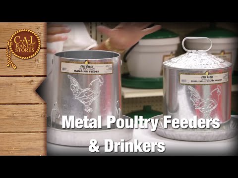 Metal Poultry Feeders & Drinkers